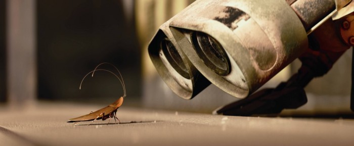 The only cockroach that is allowed in my house, and then only on the television screen. Image by Disney/Pixar, from Wall-E.